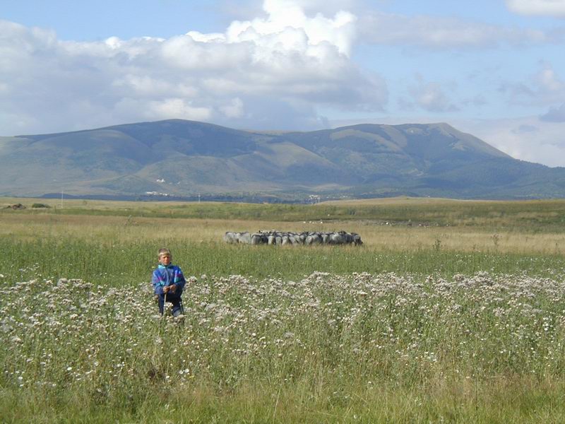 Плазеница, Република Српска